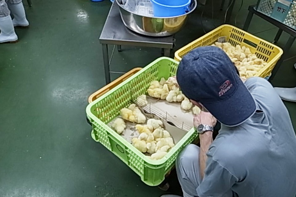 求人画像 サブ画像11