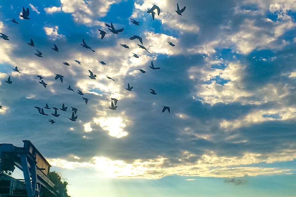 求人画像 サブ画像4