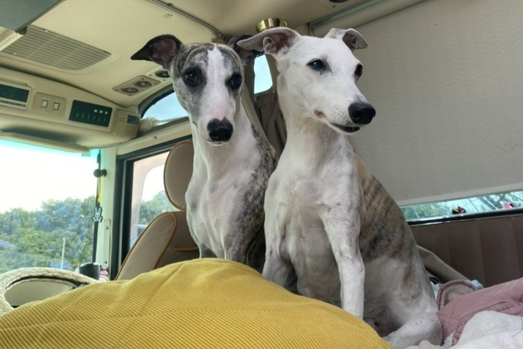 求人画像 サブ画像1