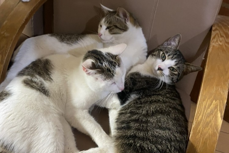 求人画像 サブ画像2