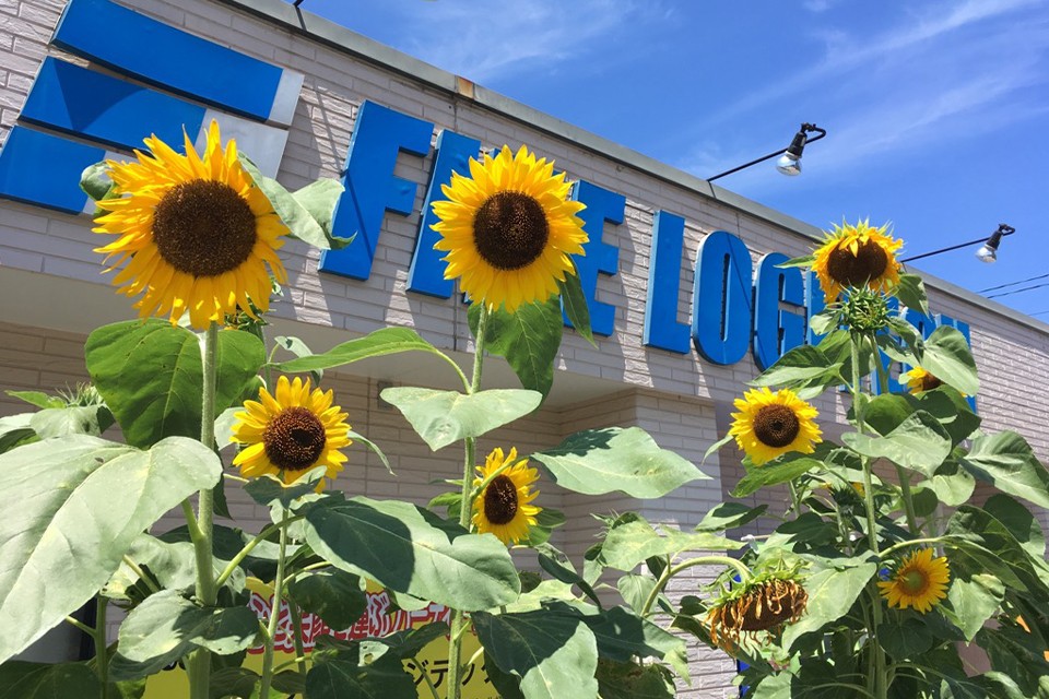 求人画像 サブ画像4